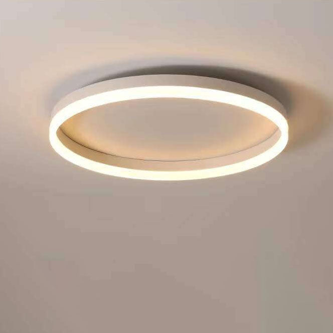 Nordic Circle Ring Iron Acrylic LED Flush Ceiling Light