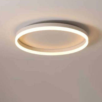 Nordic Circle Ring Iron Acrylic LED Flush Ceiling Light