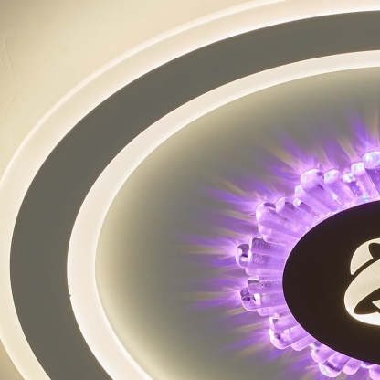 Round Acrylic LED Flush Mount Light