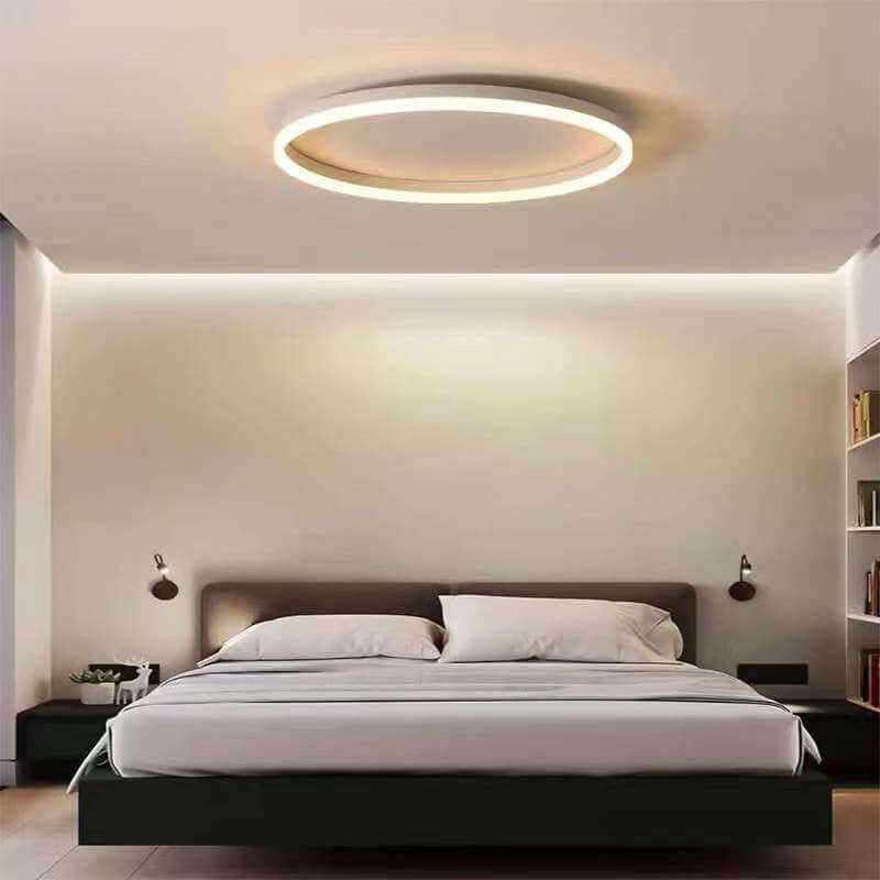 Nordic Circle Ring Iron Acrylic LED Flush Ceiling Light