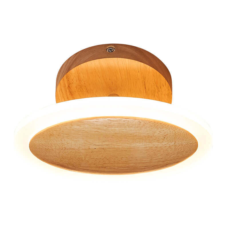 Minimalist Log Oval LED Ceiling Light