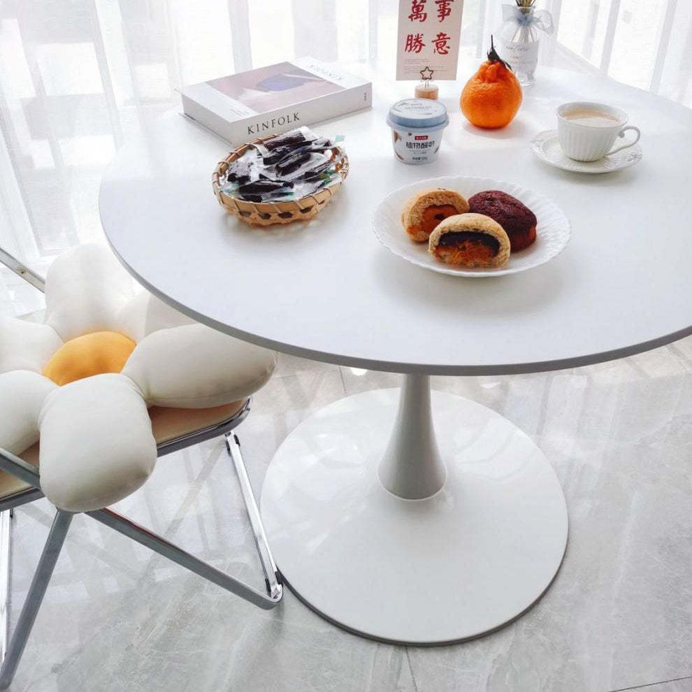 Minimalist Steel Artificial Plate Coffee Table