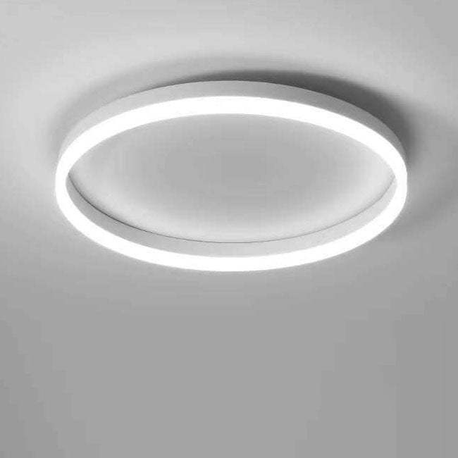 Nordic Circle Ring Iron Acrylic LED Flush Ceiling Light