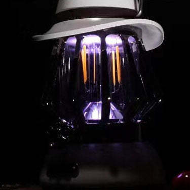 Modern Handheld Metal Camping LED Outdoor Light