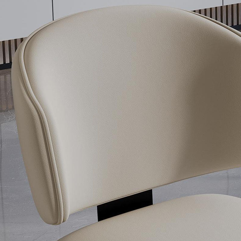 Modern Luxury Leather Iron Chair — Beige