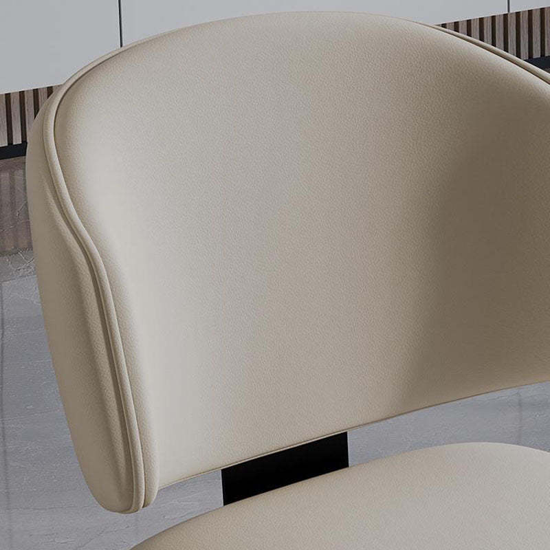 Modern Luxury Leather Iron Chair — Beige