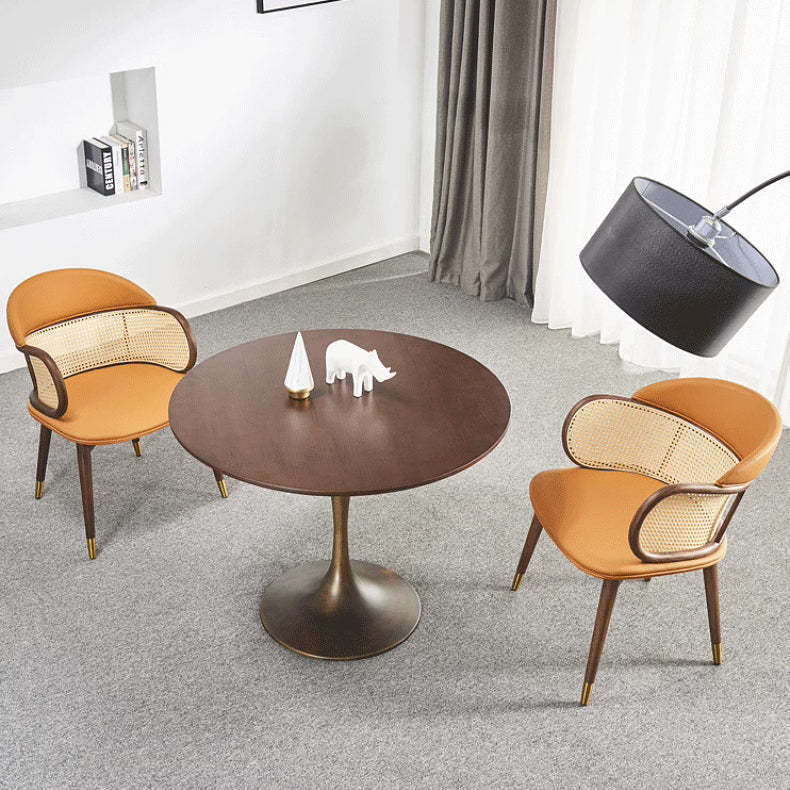 Nordic Leather Rattan Wood Steel Chair