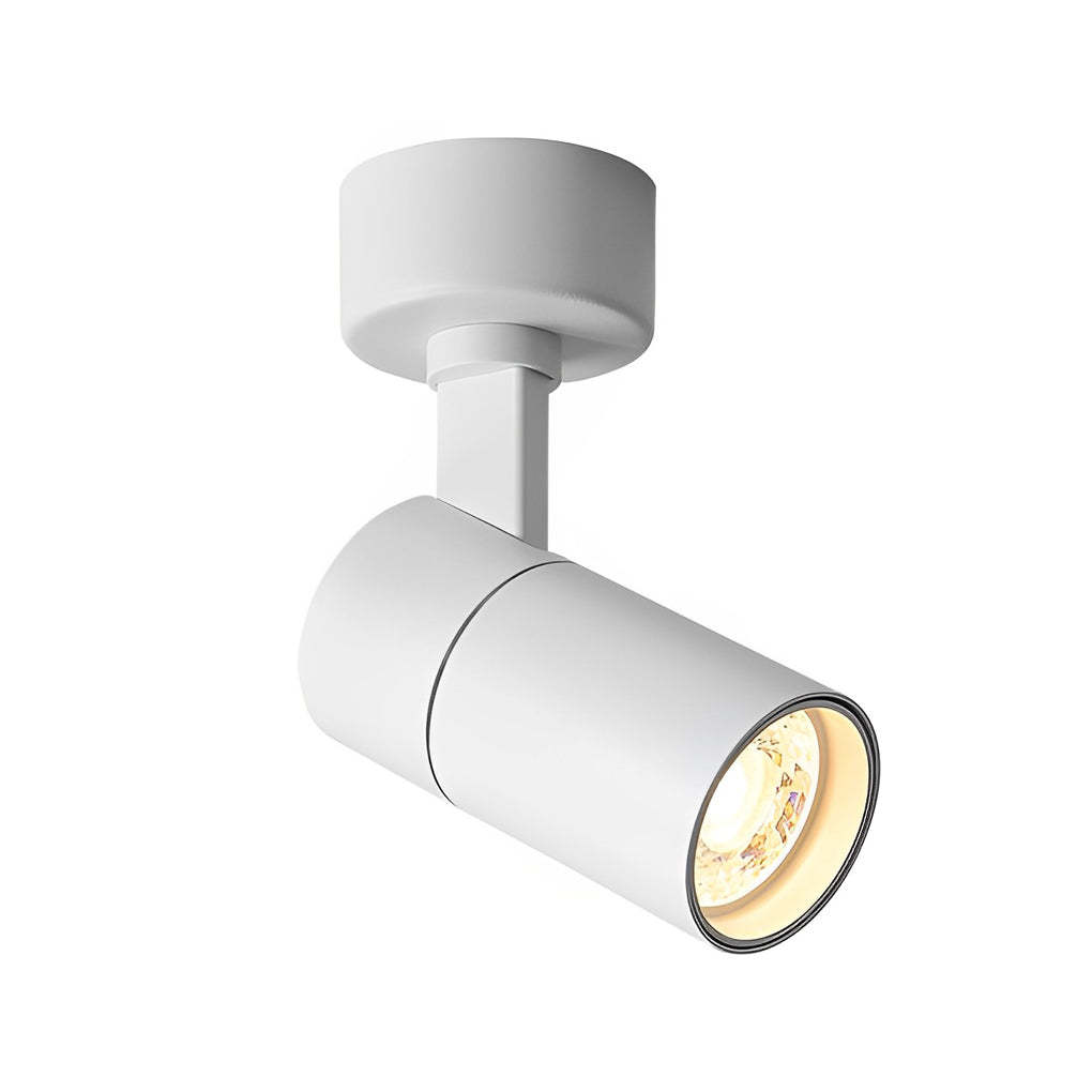 Up-Down Adjustable Round LED Ceiling Spotlight
