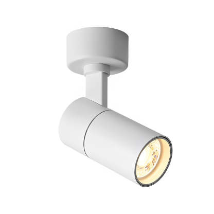 Up-Down Adjustable Round LED Ceiling Spotlight