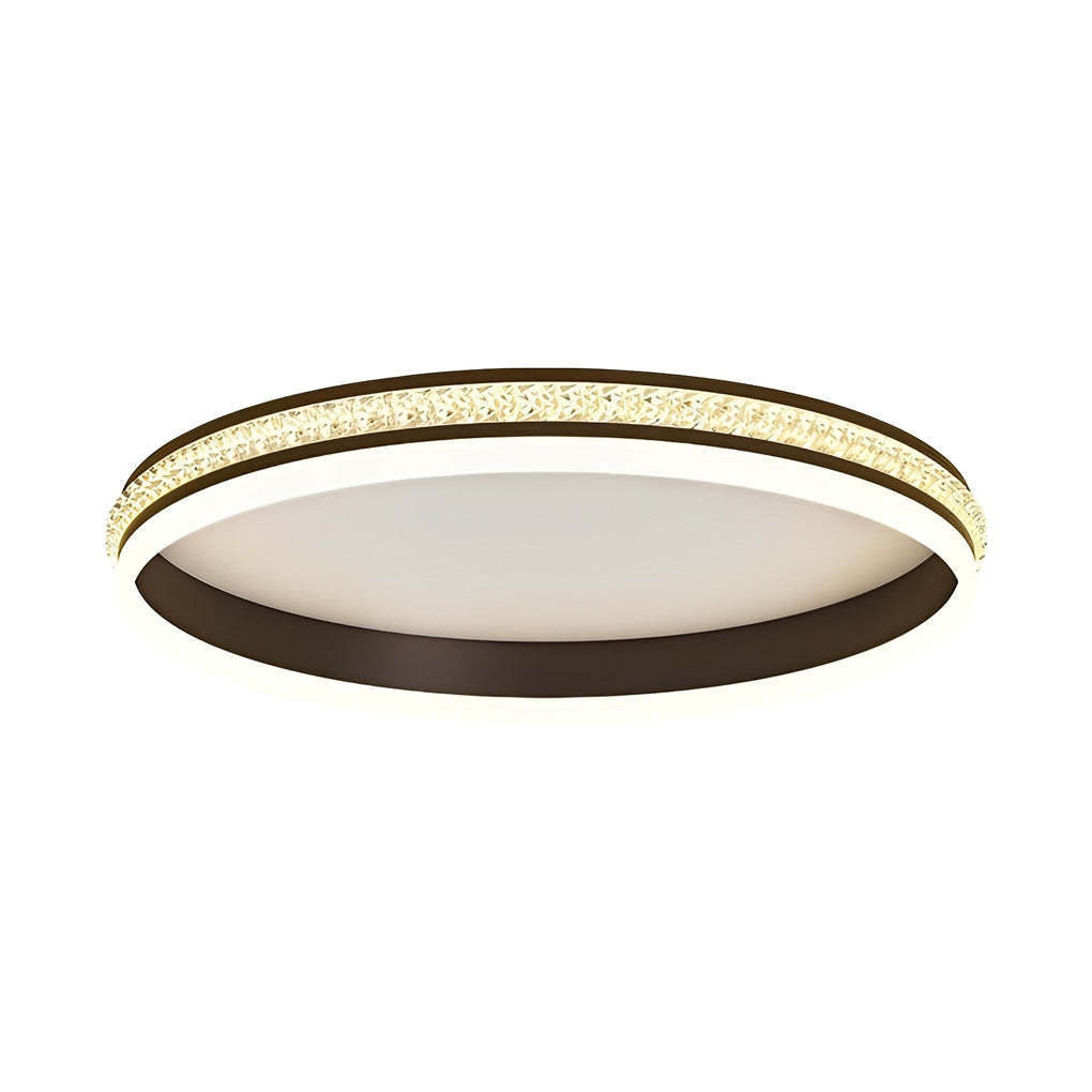 Round Dimmable Remote Modern Ceiling Fixture