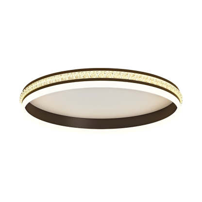 Round Dimmable Remote Modern Ceiling Fixture