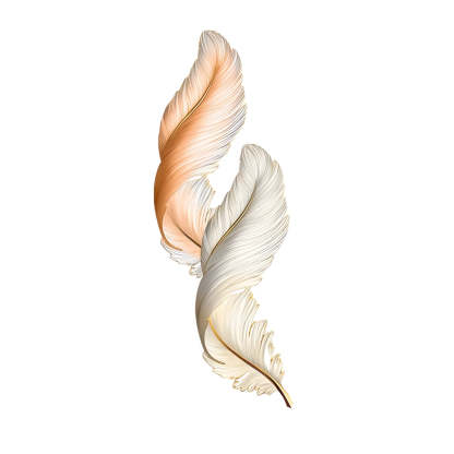 Feather Decorative USB Remote LED Wall Light — White+Orange