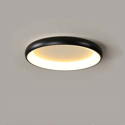 Minimalist Round Aluminum Acrylic LED Flush Mount Light