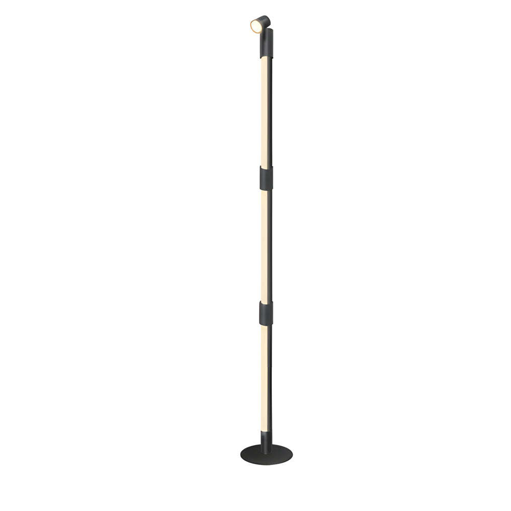 RGB Rotating Floor Lamp with Spotlight, Remote Control-Lighom
