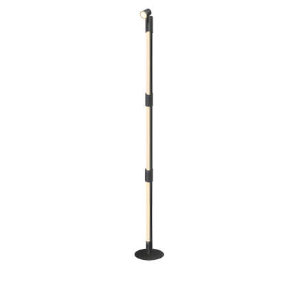RGB Rotating Floor Lamp with Spotlight, Remote Control-Lighom