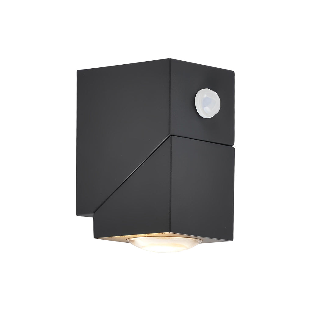 Adjustable Up Down Motion Sensor Black Wall Lamp