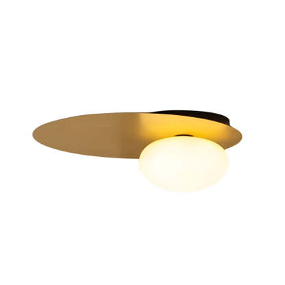 LED Oval Metal White Glass Flush Mount Light