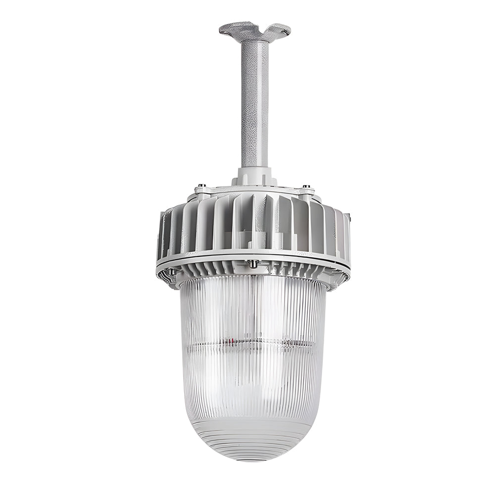 Explosion-Proof Hazardous Area Pendant, 50W/100W