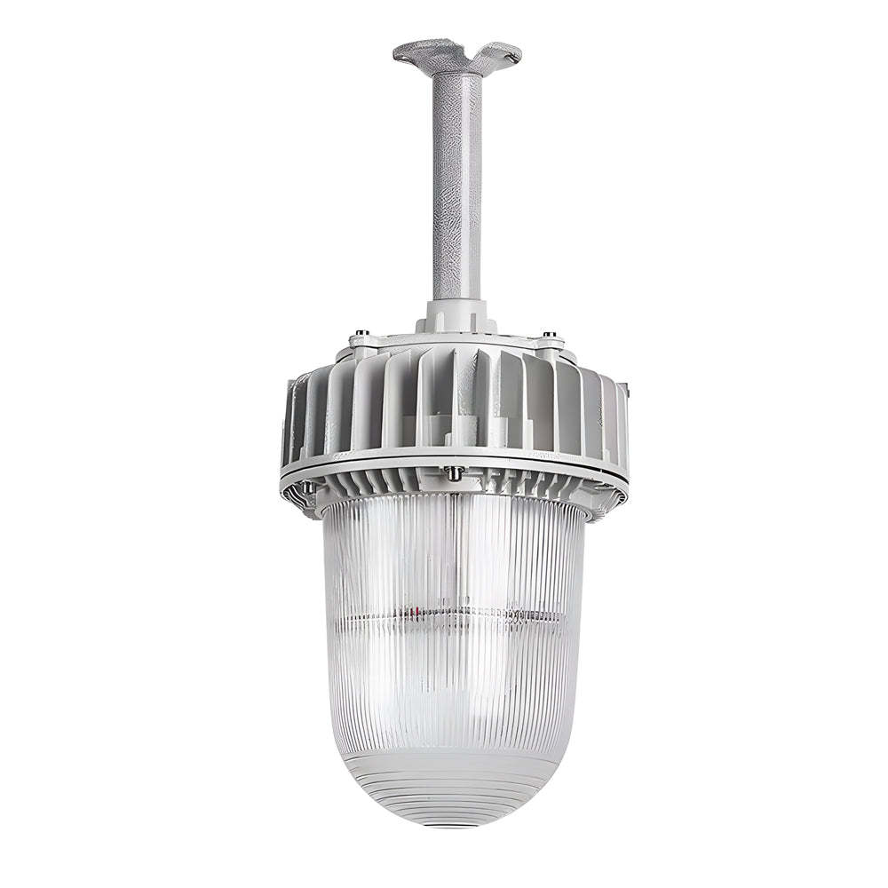 Explosion-Proof Hazardous Area Pendant, 50W/100W