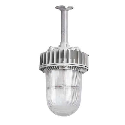 Explosion-Proof Hazardous Area Pendant, 50W/100W