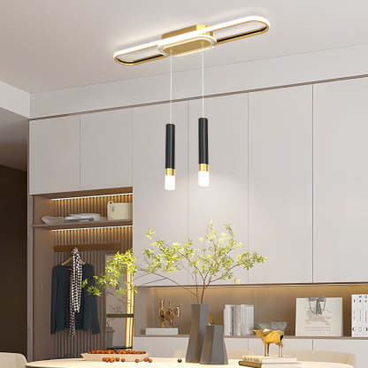 Long Circular LED Modern Ceiling Hanging Light