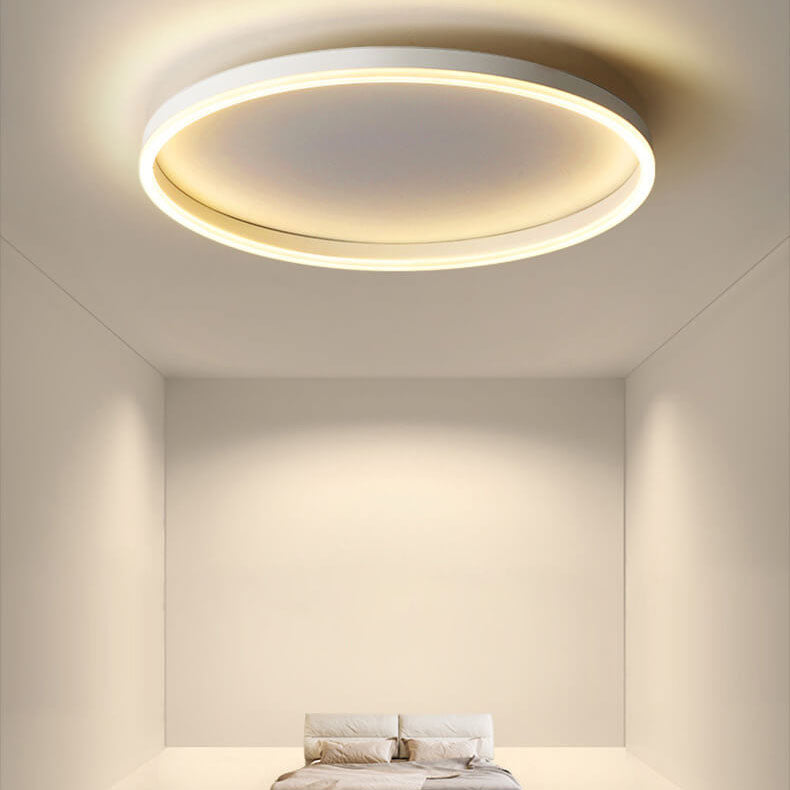 Nordic Circle Ring Iron Acrylic LED Flush Ceiling Light