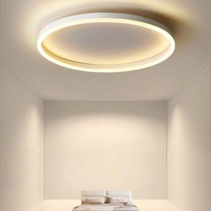 Nordic Circle Ring Iron Acrylic LED Flush Ceiling Light