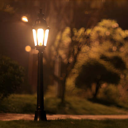 Elegant European-Style Black LED Outdoor Pathway Lamp Post-Lighom