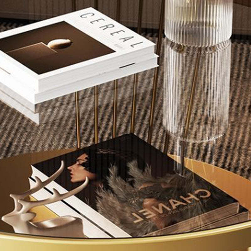 Modern Tempered Glass 2-Tier Coffee Table