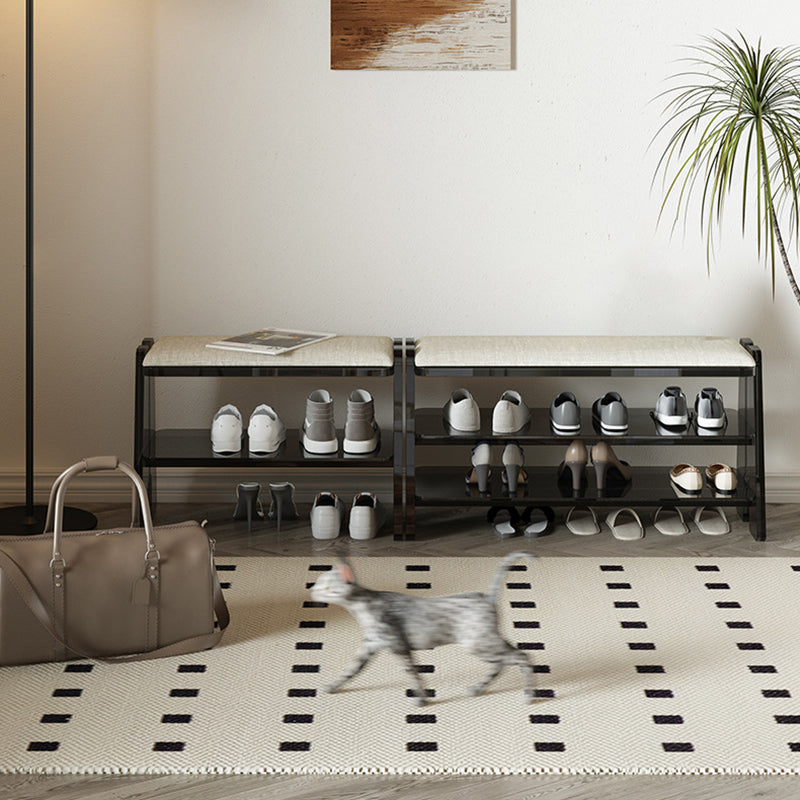Minimalist Acrylic 2/3-Tier Shoe Storage