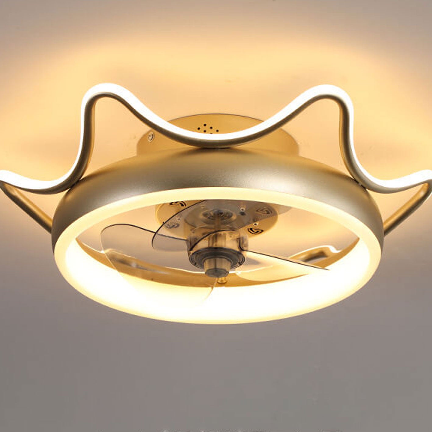 Nordic Round Wrought Iron LED Flush Mount Fan Light