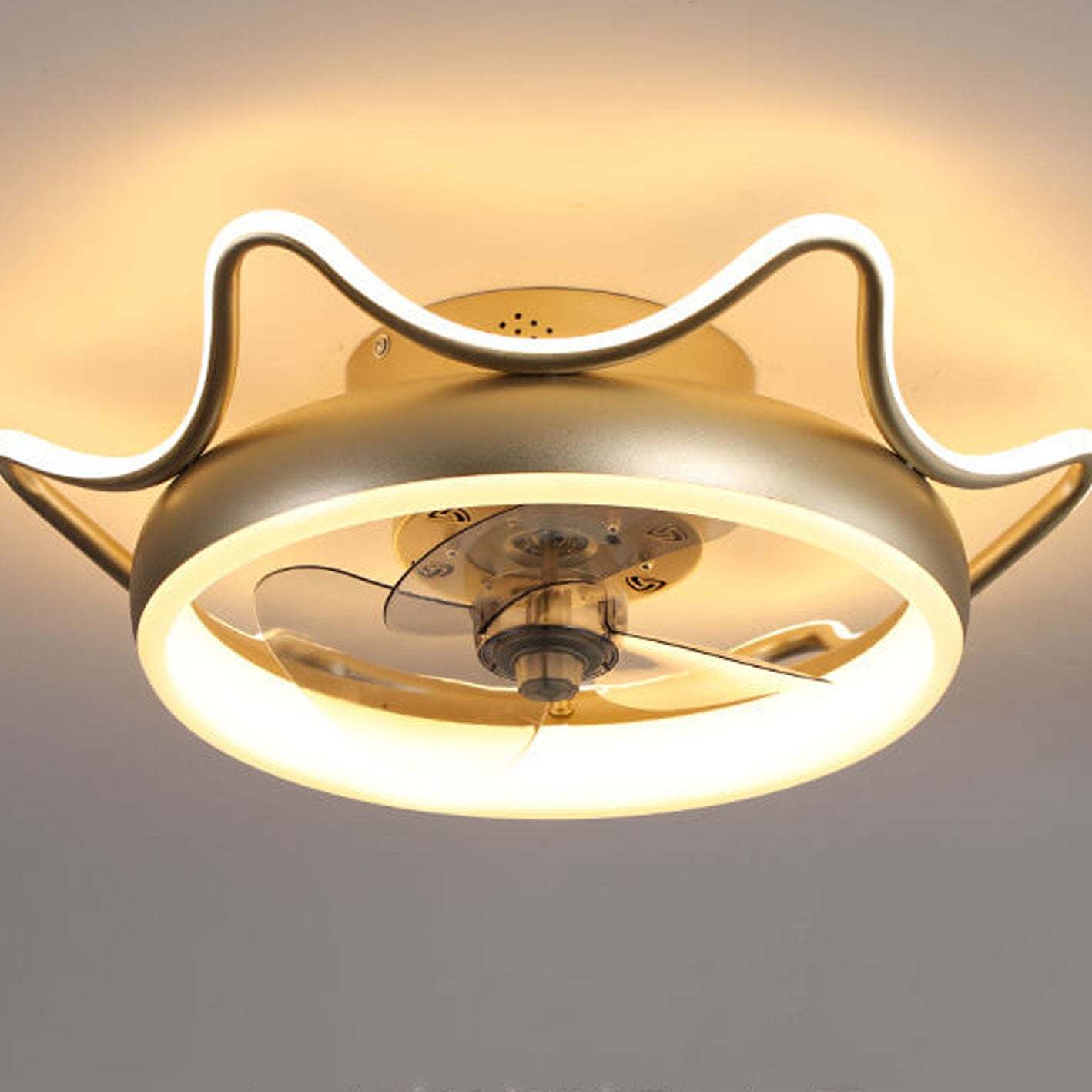 Nordic Round Wrought Iron LED Flush Mount Fan Light
