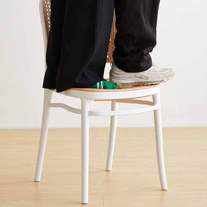 Minimalist Rattan Plastic Dining Chair