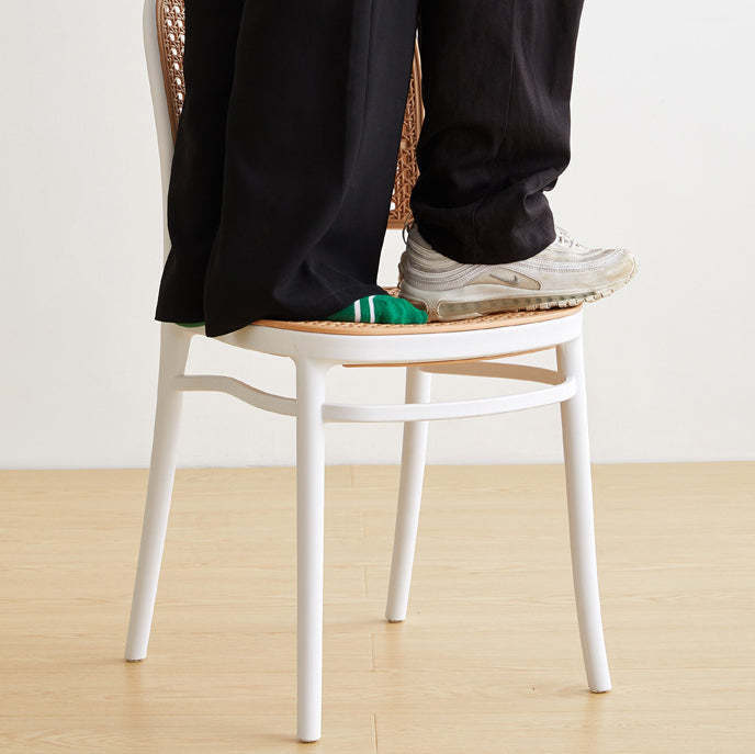 Minimalist Rattan Plastic Dining Chair