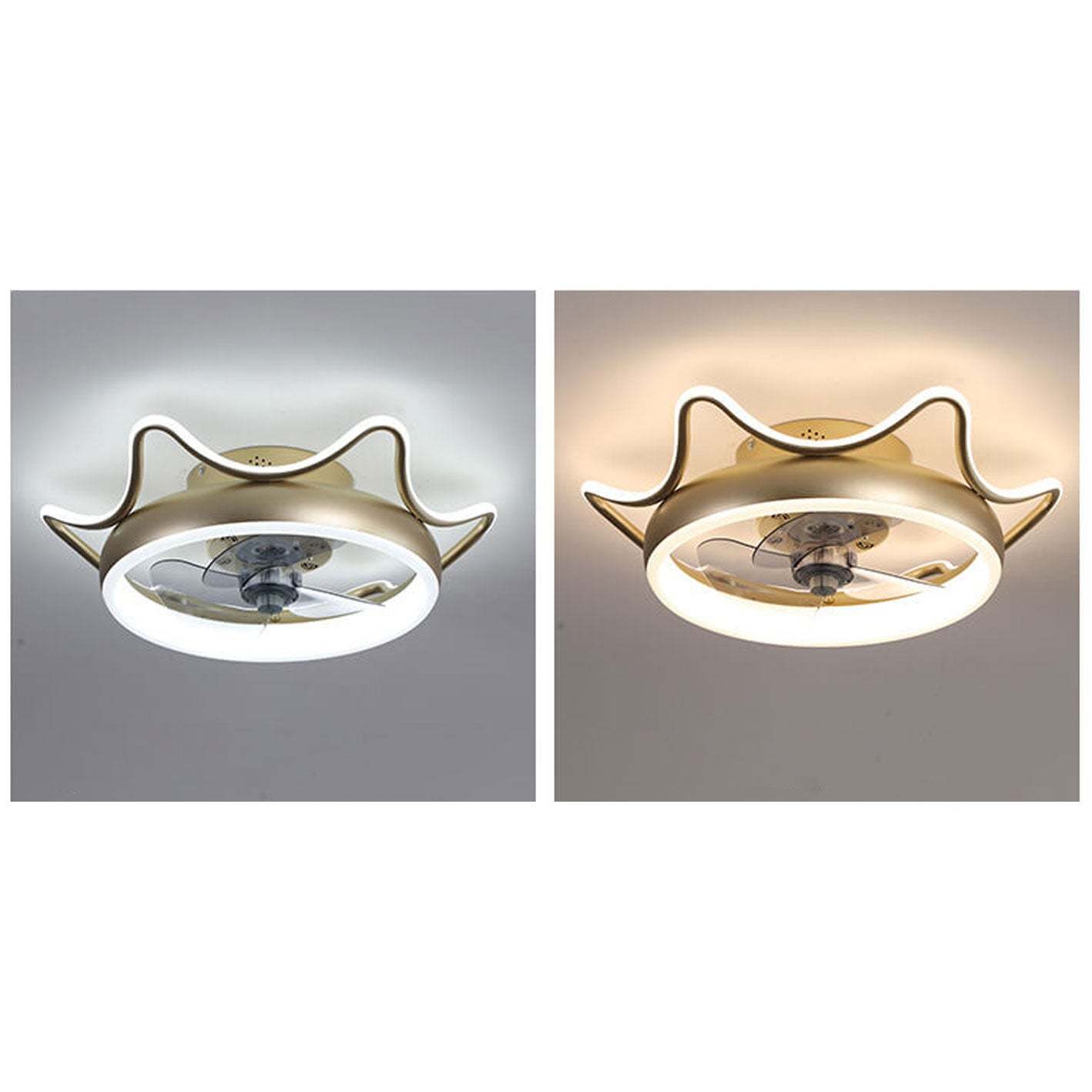 Nordic Round Wrought Iron LED Flush Mount Fan Light