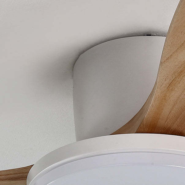 Scandinavian Copper Fan Mount Ceiling Fan Light