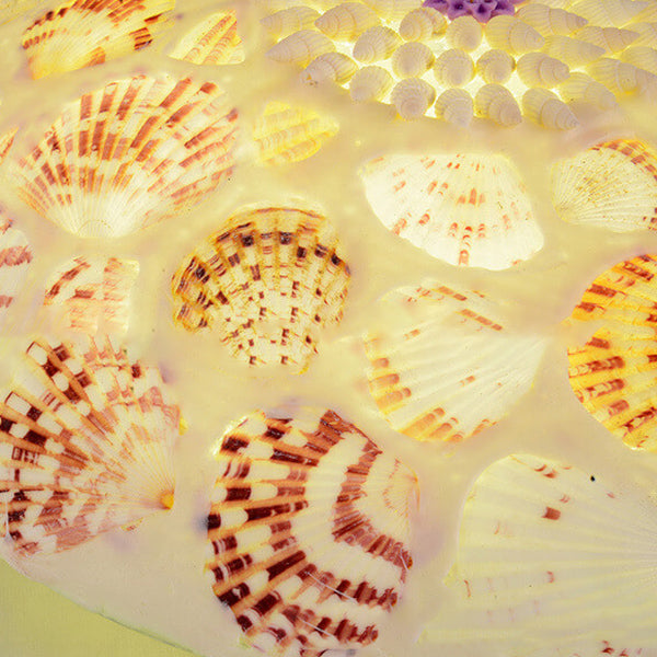 European Mediterranean Shell Round LED Flush Mount Light