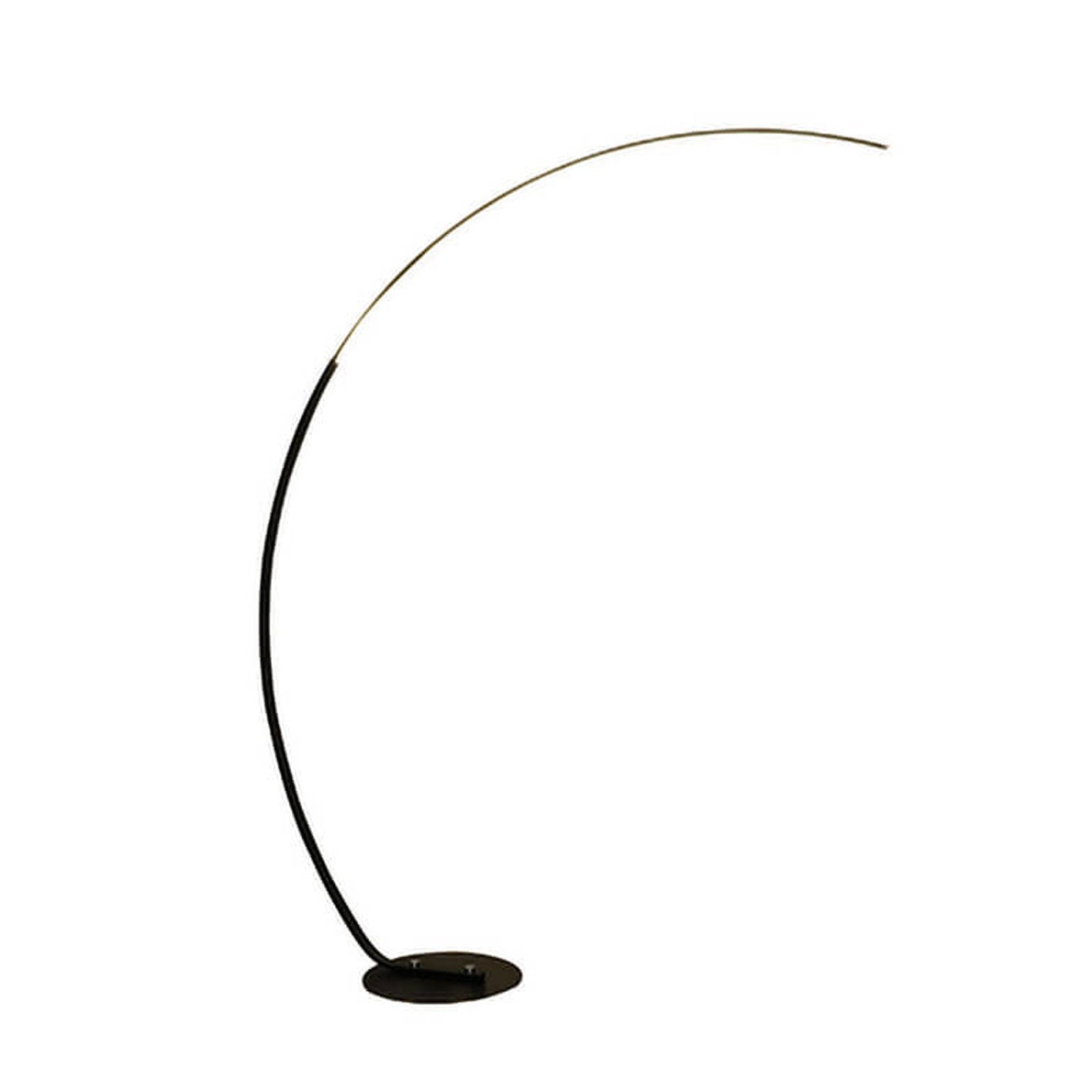 Minimalist Curved Line LED Aluminum Floor Lamp — Black / RGB + White Light + Warm Light + Remote Control / 110V-120V For US/CA