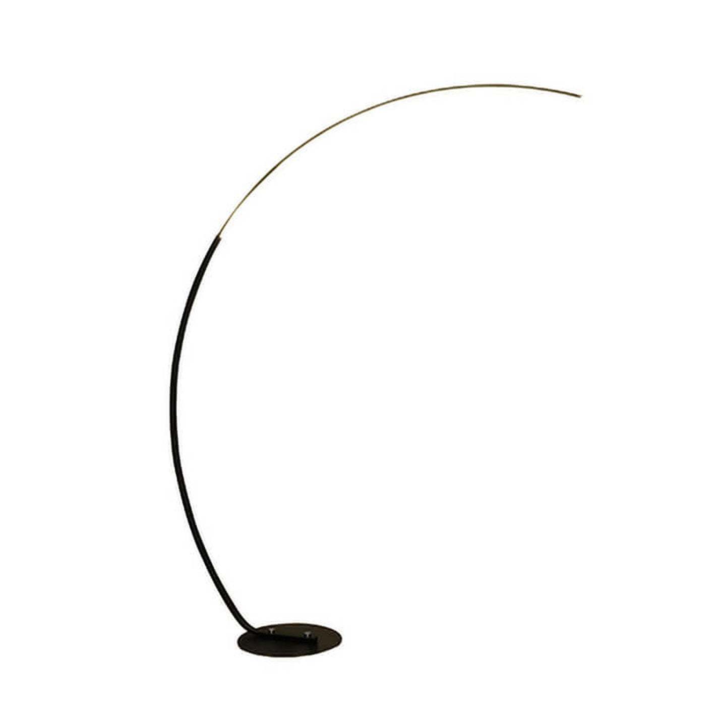 Minimalist Curved Line LED Aluminum Floor Lamp — Black / RGB + White Light + Warm Light + Remote Control / 110V-120V For US/CA