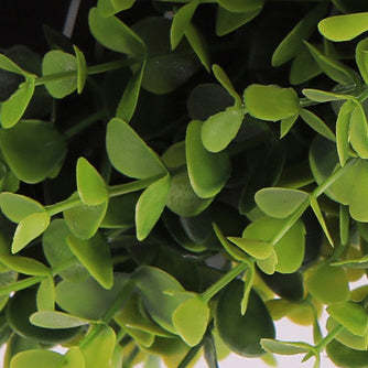 Green Plant Flush Mount Light