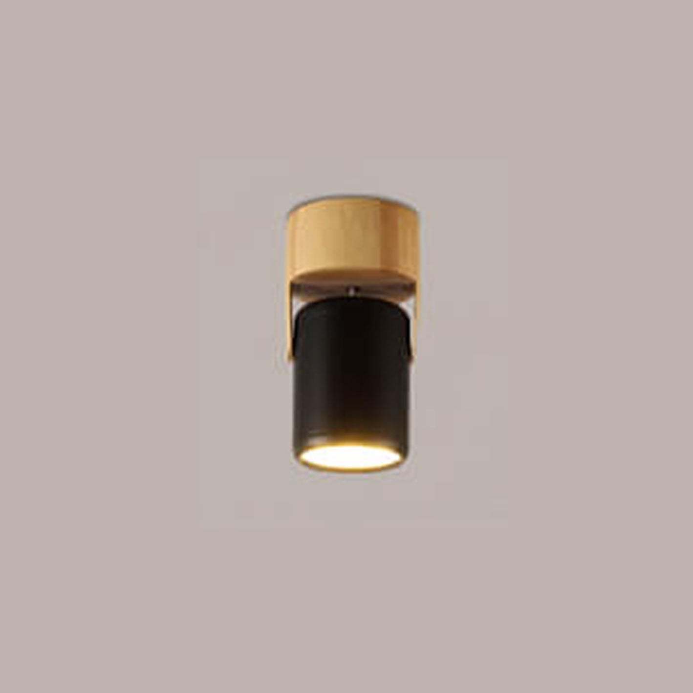 Nordic Minimalist Track Spotlight 1/3-Light Flush Mount