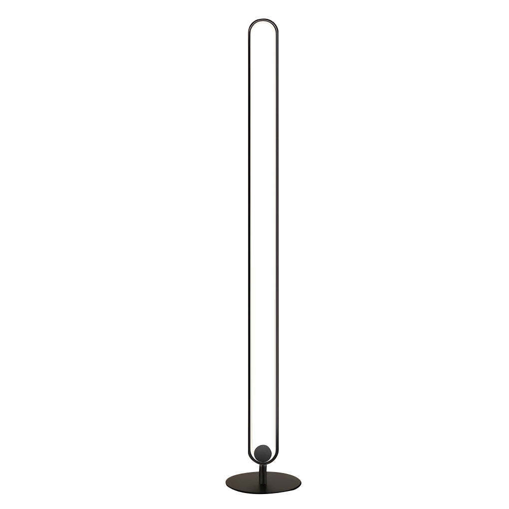 Minimalist LED Standing Oval Floor Lamp