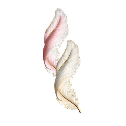 Feather Decorative USB Remote LED Wall Light — White+Orange