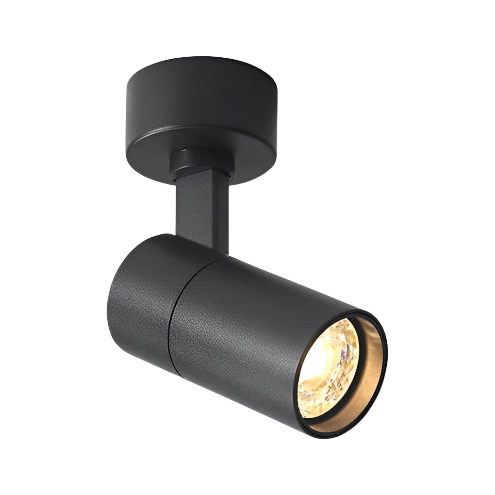Up-Down Adjustable Round LED Ceiling Spotlight