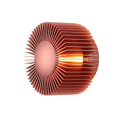 Round Sun Flowers LED Creative Decor Aluminum Modern Wall Light Fixture-Lighom
