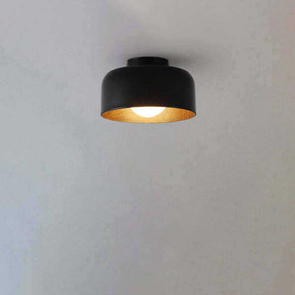 Minimalist Dome Wood Grain Iron Ceiling Light