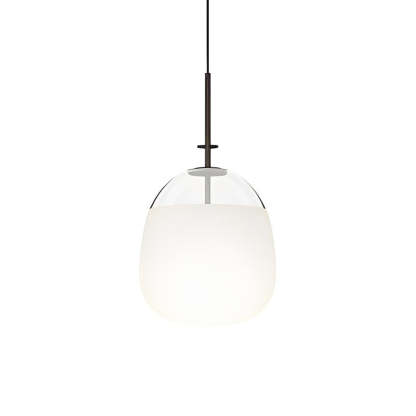 Round Glass Iron LED Black Nordic Pendant