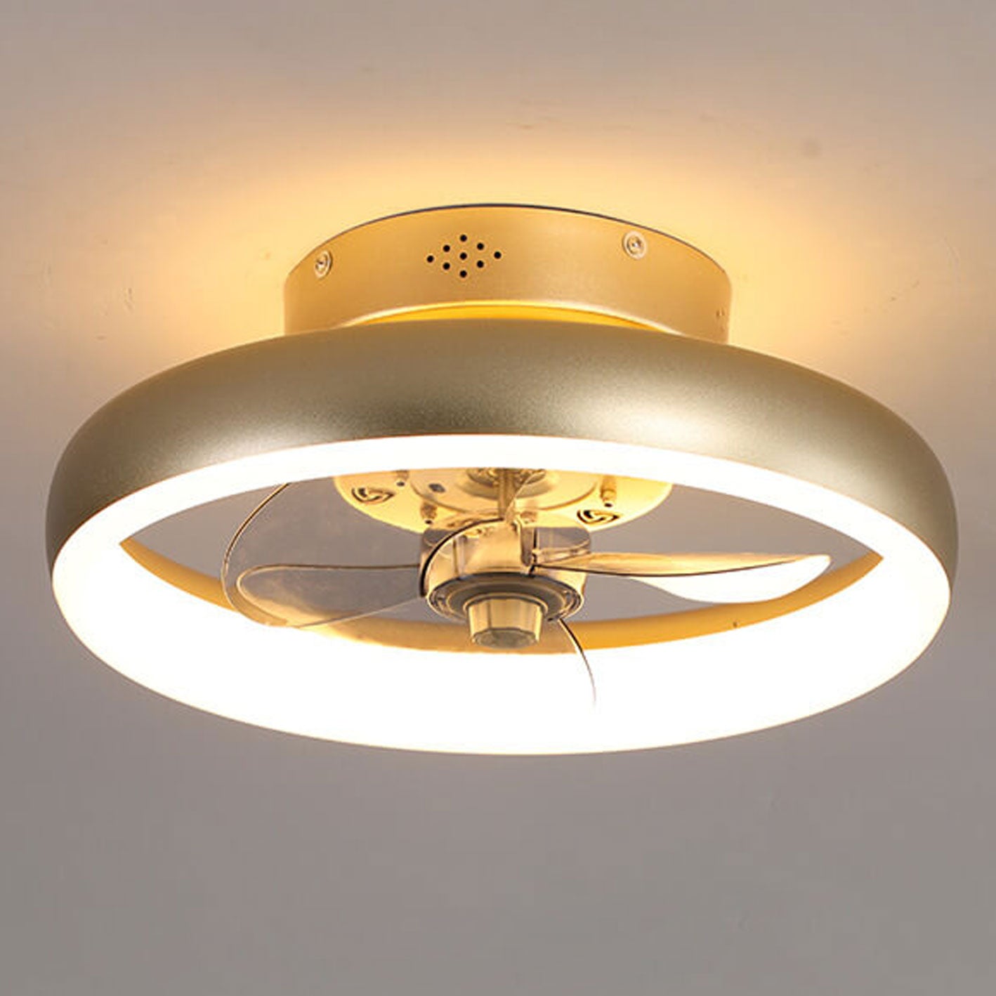 Nordic Round Wrought Iron LED Flush Mount Fan Light