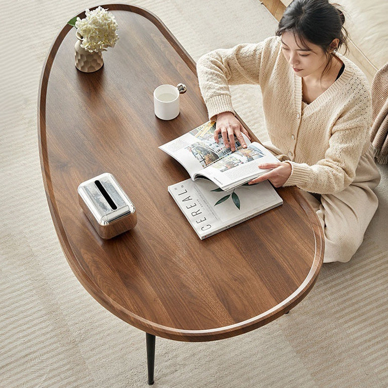 Scandinavian Oval Mango Wood Iron Coffee Table