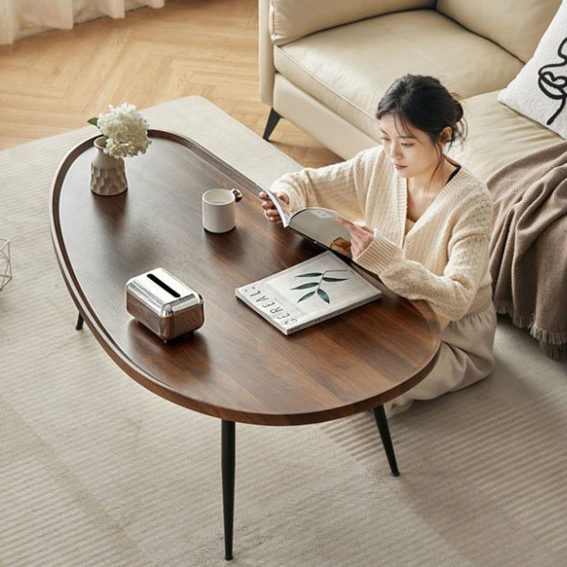 Scandinavian Oval Mango Wood Iron Coffee Table — Pearwood Color